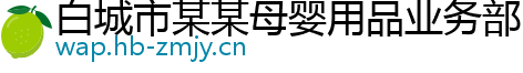 白城市某某母婴用品业务部